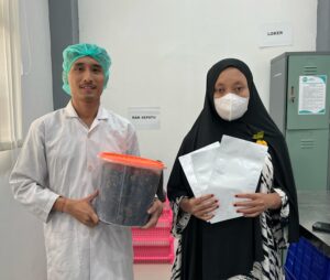 UMKM Keripik Pisang: Meningkatkan Kualitas Produk Bersama UMKM Halal Hub