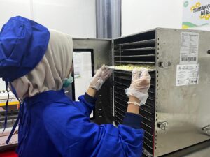 Sharing Factory: Pengeringan Daun Sereh Secara Efektif dan Higienis Bersama UMKM Halal Hub