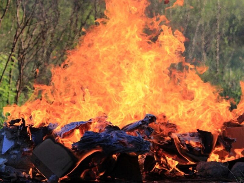 Alasan di Balik Pemusnahan Makanan Ilegal dan Dampak Bahayanya